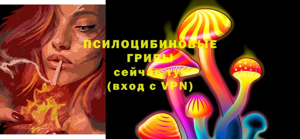 apvp Семикаракорск