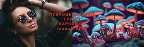тгк Беломорск