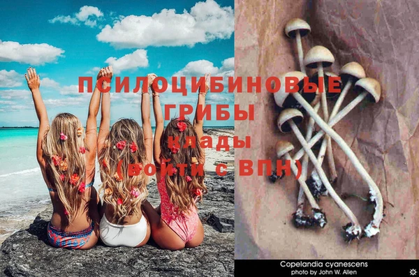 прущие крисы Белоозёрский