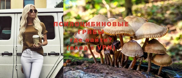 тгк Беломорск