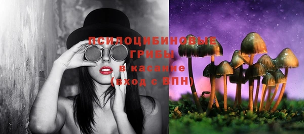 прущие крисы Белоозёрский
